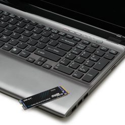 Ổ cứng máy tính SSD PNY CS1031 500GB M.2 2280 PCIe NVMe 5 47451 pny cs1031 500gb nvme pcie4 upweb 4 1