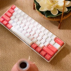 BÀN PHÍM CƠ KHÔNG DÂY NEWMEN GM610 3 vn 11134201 23030 zt2xbclskiovdf