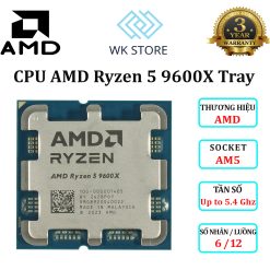 AMD Ryzen 5 9600X